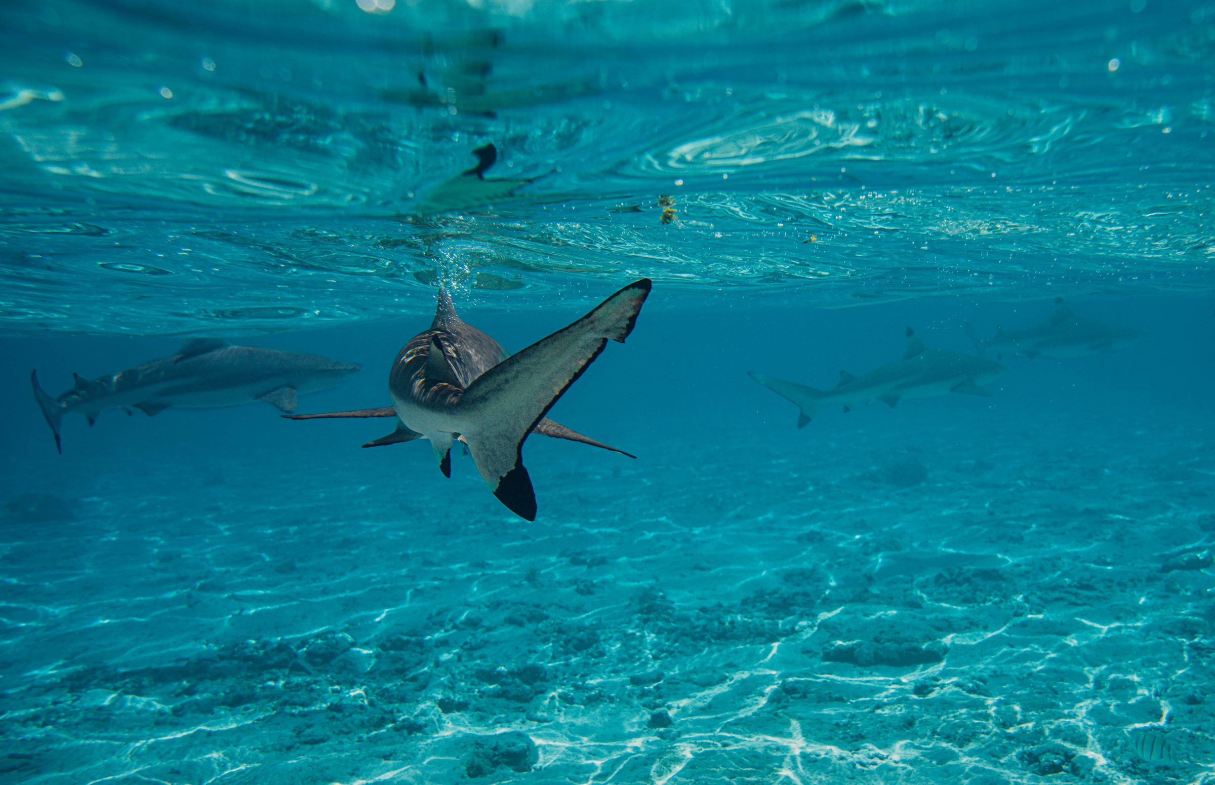 Underwater