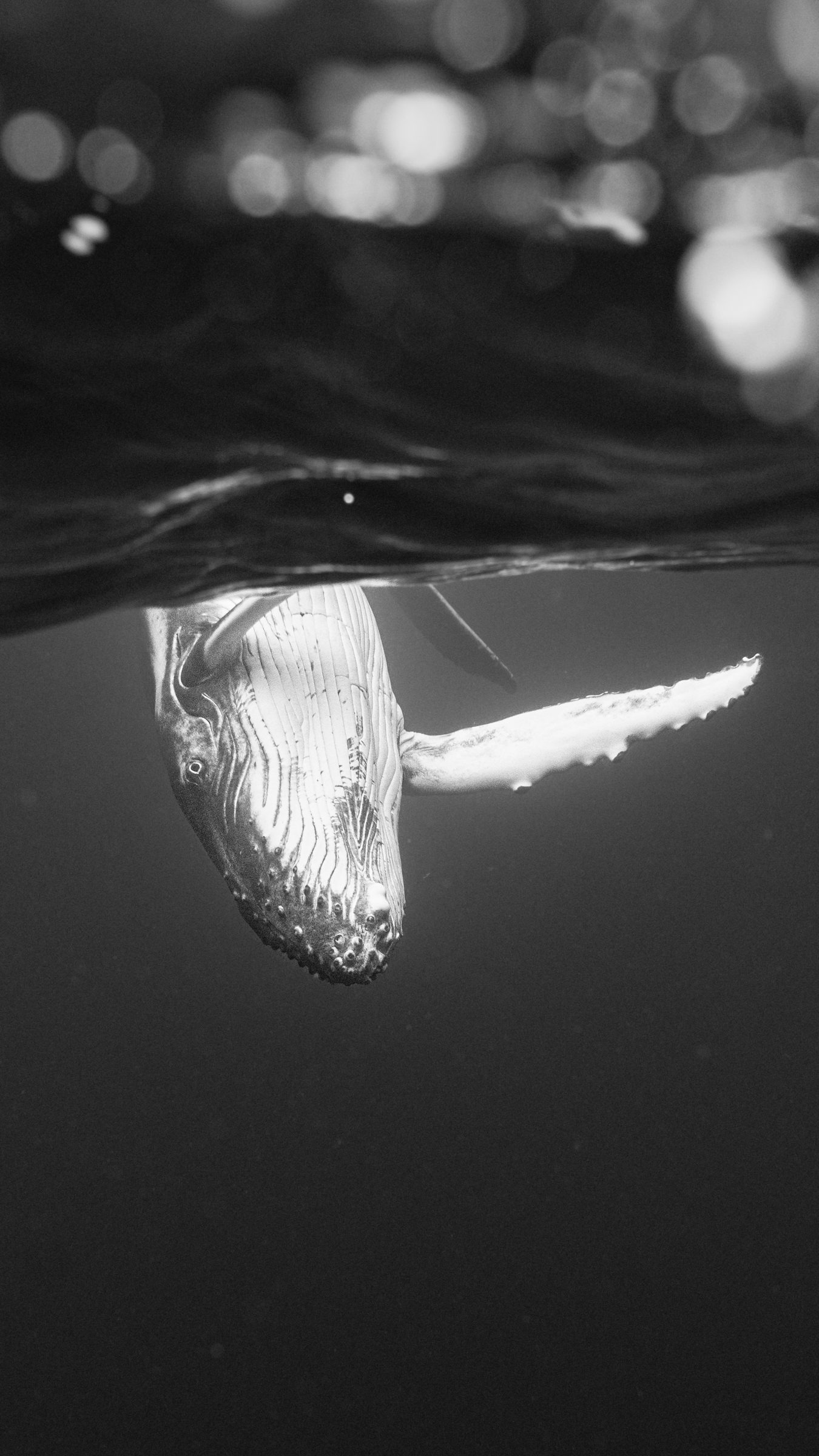 Underwater