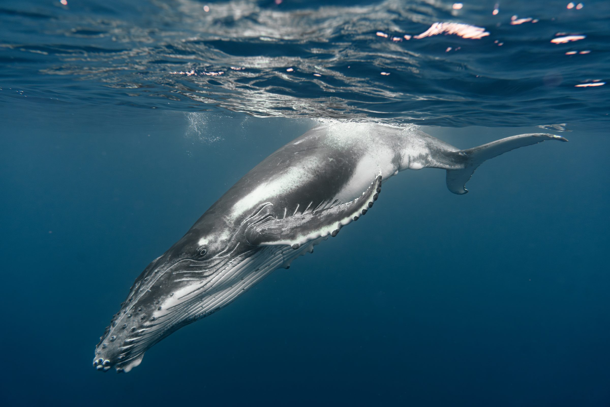 Underwater