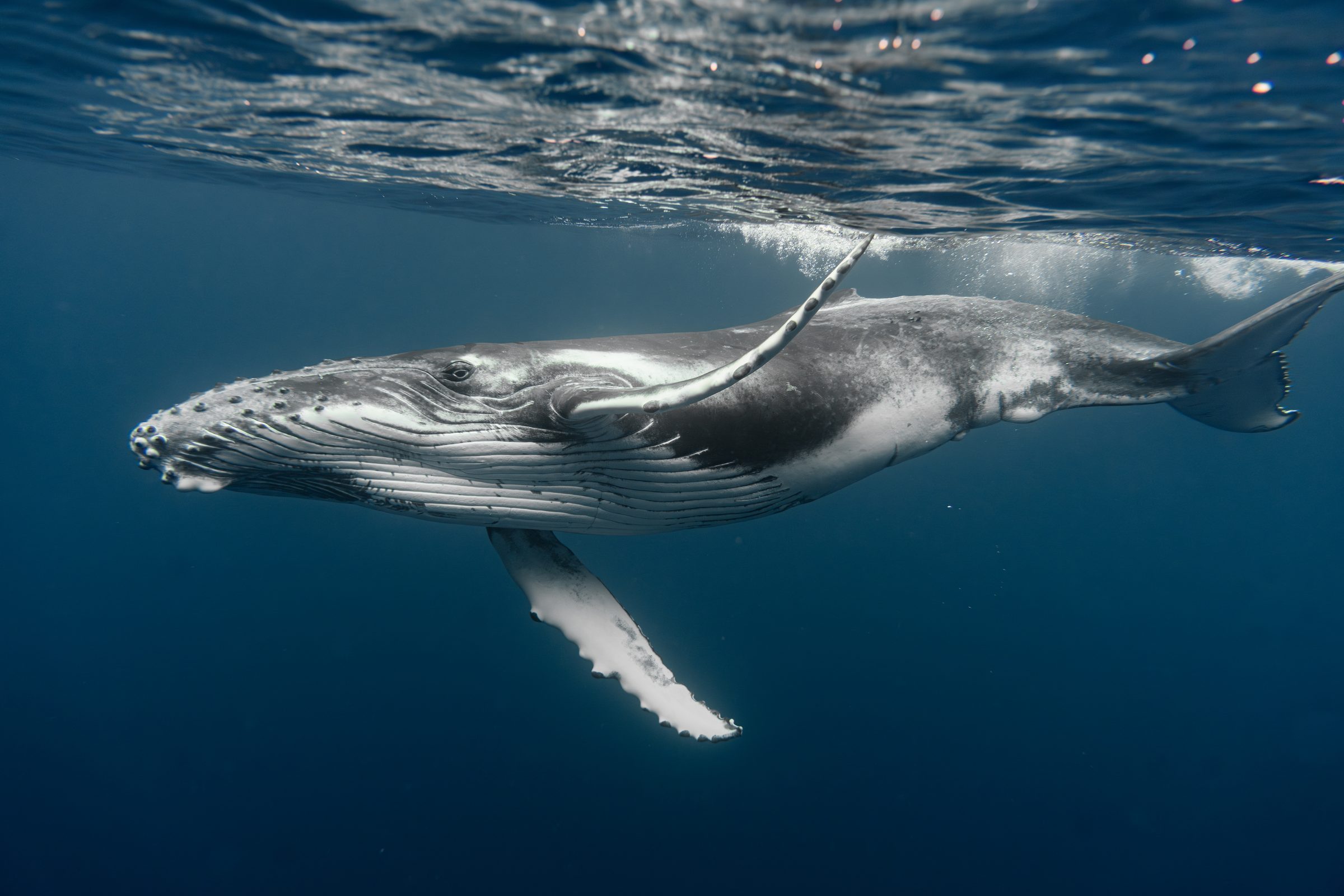 Underwater