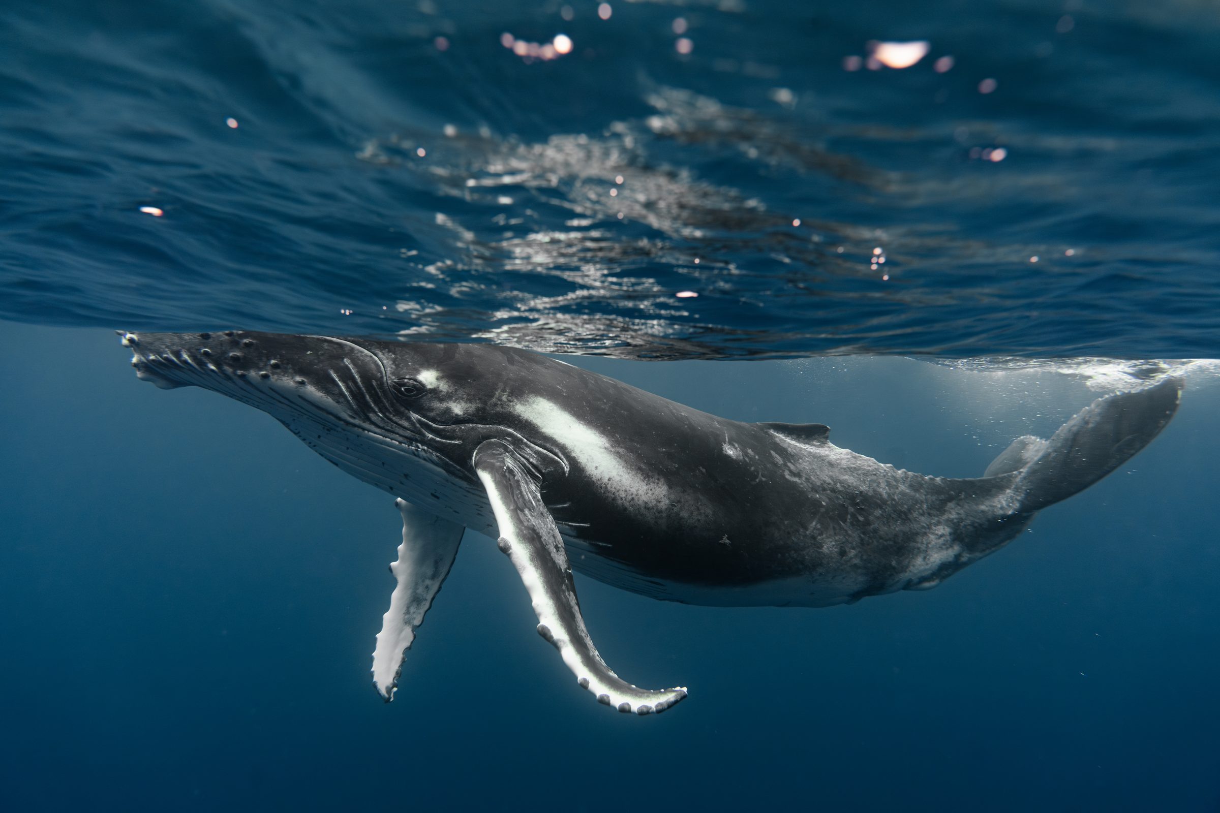 Underwater