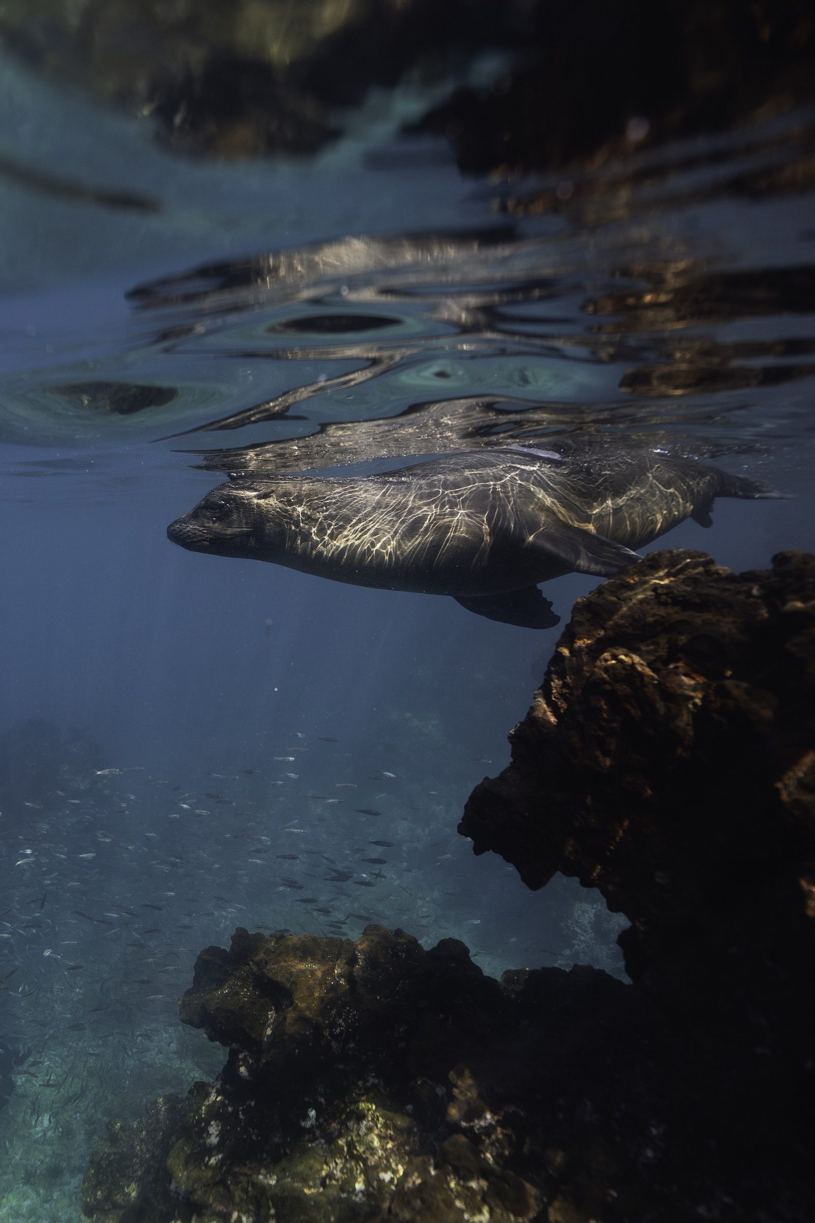 Underwater