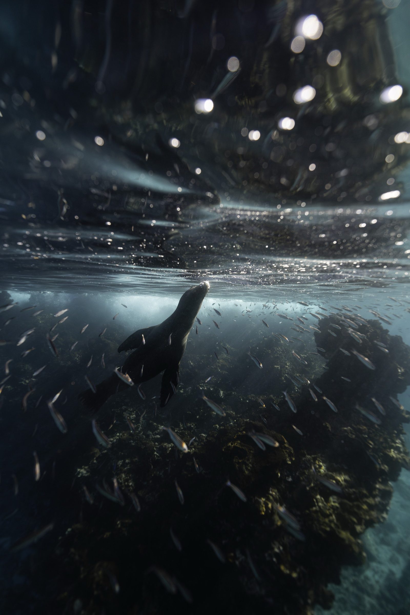 Underwater
